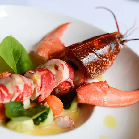 Brit Du Dauphin 3* LʼAigle