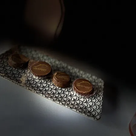 מלון Brit Du Dauphin