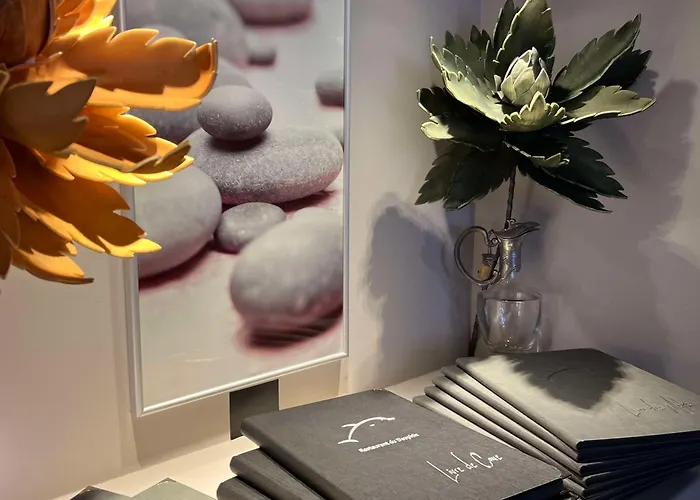 Brit Du Dauphin Hotel