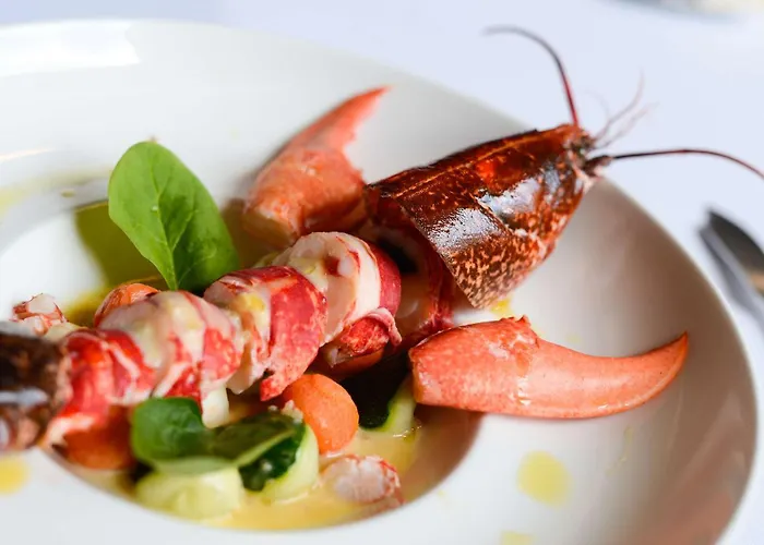 Brit Du Dauphin 3* LʼAigle