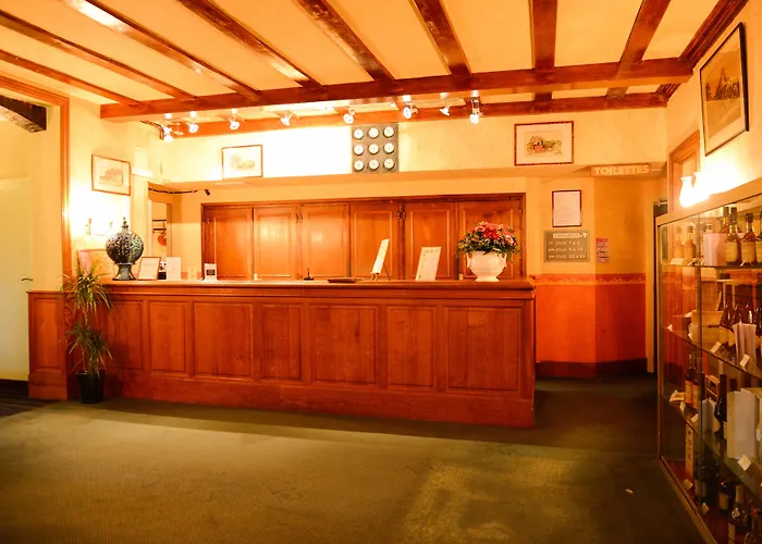 Hotel Brit Du Dauphin 3*